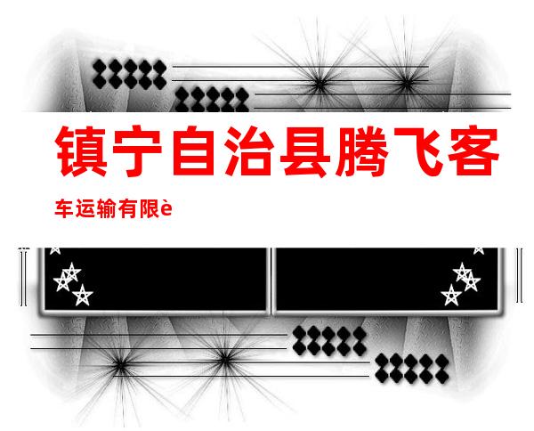 镇宁自治县腾飞客车运输有限责任公司